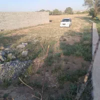 فروش ۲ قطعه زمین ویلایی و صنعتی در ینگی کند