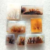 نگین عقیق شجر قائن و شجر رنگی انگشتر و گردنبند|جواهرات|صفادشت, |دیوار