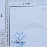 لاماری ایما ۱۴۰۲ کله غازی|خودرو سواری و وانت|مشهد, الهیه|دیوار