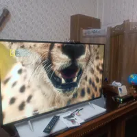 ال ای دی پنل سونی 43 اینچ، مشابه آک ، نو|تلویزیون و پروژکتور|مشهد, وکیل‌آباد|دیوار