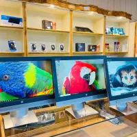 نصب‌ویندوزلپتاپ pc نرم‌افزار شبکه تعمیر ارتقادرمحل|خدمات رایانه‌ای و موبایل|اصفهان, عباس‌آباد|دیوار