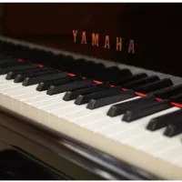 آموزش پیانو خصوصی برای بانوان و کودکان