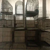 قفسه پرنده|لوازم جانبی حیوانات|تهران, آهنگران (سراسیاب دولاب)|دیوار