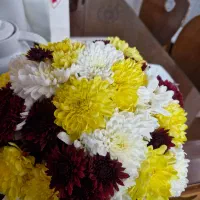 راهنمایی و کمک