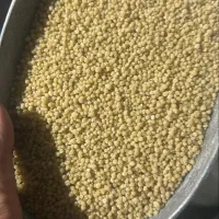 کود دی آمونیوم فسفات رازی 46درصد درجه یک|خدمات باغبانی و درختکاری|کهنوج, |دیوار