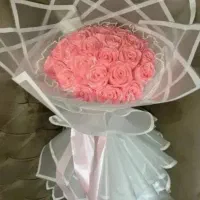 شاخه ای فقط ۱۵