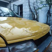 کاپوت پژو.  گاز سی آن جی