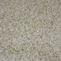 برنج محلی ارگانیک هندی|خوردنی و آشامیدنی|کازرون, |دیوار