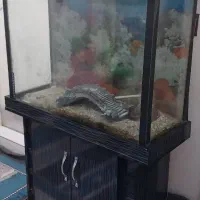 آکواریوم  سالم با ام دی اف و تجهیزات