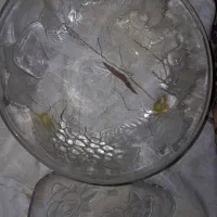 ظرف کریستال ظرف گل رز و ظرف قدیمی