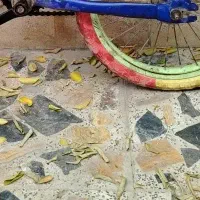 دوچرخه 12برای فروش