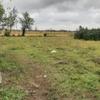 زمین روستایی سنددار با کاربری مسکونی (۷۱۹متر)|فروش زمین و ملک کلنگی|املش, |دیوار