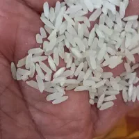 برنج من پسند پاکستانی