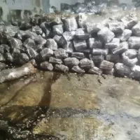 ضایعات خرما از بهترین نخلستان های استان بوشهر