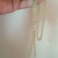 تسبیح وانگشتر|کلکسیون و سرگرمی|قم, تولید دارو و یخچال|دیوار