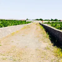باغ ، باغشن ، زبرخان ، نیشابور|فروش دفتر صنعتی، کشاورزی، تجاری|مشهد, رضاشهر|دیوار