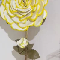 ساعت ایستاده|ساعت دیواری و تزئینی|پاکدشت, پاکدشت (مامازند)|دیوار