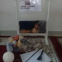 .قالیچه زیر قیمت