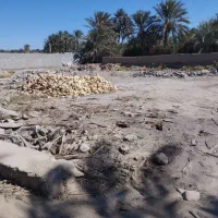 فروش زمین مسکونی کشاورزی|فروش زمین و ملک کلنگی|سراوان, |دیوار