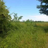 زمین مسکونی ۲۳۰۰۰هزارمتری  سندار