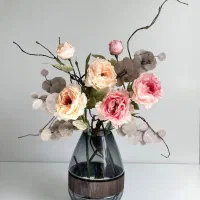 بکدراپ عکاسی