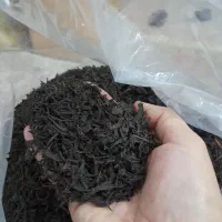 چای بهاره.سرگل.ممتاز.لیزری.شکسته چوب چای