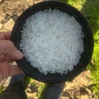 برنج طارم هاشمی امساله فریدونکنار اورگانیک|خوردنی و آشامیدنی|آمل, |دیوار