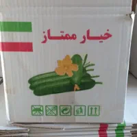 کارتن خیار    600تا