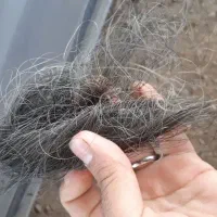 سیم وایرکات کارکرده