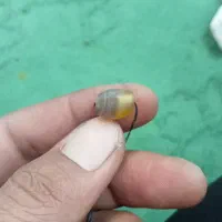 مهر قدیمی سلیمانی