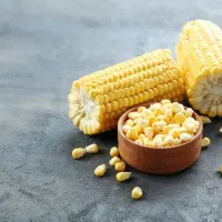 نهاده های دامی و کشاورزی|فعالیت داوطلبانه|تربت جام, معدآباد|دیوار