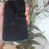 اپل iPhone 13 با حافظهٔ ۱۲۸ گیگابایت|موبایل|تهران, تهرانپارس شرقی|دیوار