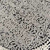 فرش|فرش|شیراز, شهرک مدرس|دیوار