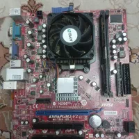 مادربرد سالم