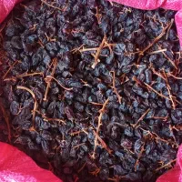فروش مویز|خوردنی و آشامیدنی|شیراز, گویم|دیوار