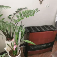 بخاری گازی|بخاری، هیتر، شومینه|ری, حمزهآباد|دیوار