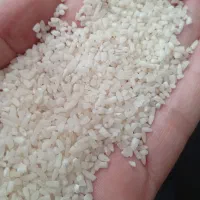 برنج نیمدانه وسرلاشه  هاشمی۱۴۰۴ خوش عطرواعلا|خوردنی و آشامیدنی|الوند, |دیوار