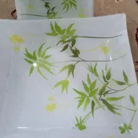 ظرف میوه خوری|ظروف سرو و پذیرایی|گرگان, |دیوار