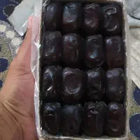 خرما|عمده‌فروشی|بم, |دیوار