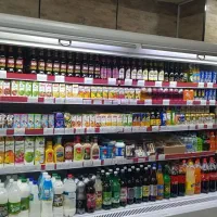 یخچال پرده هوا