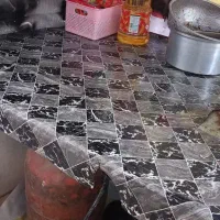دستگاه سمبوسه فروشی