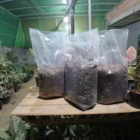 فروش خاک و برگ سبک