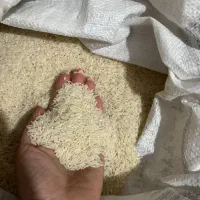 برنج طارم هاشمی