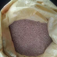 گندم دیمه کال