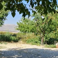 فروش-زمین-دیمی
