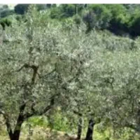 تور یک روزه آفرود طبیعت  گردی و کوه نوردی|تور و چارتر|ارومیه, |دیوار