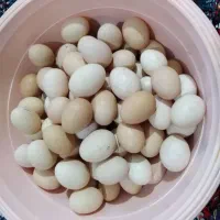 تخم مرغ محلی تازه و مرغ تخمگذار