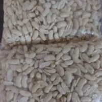 لوبیا کشاورزی پاک شده مخصوص باقالی قاتق