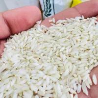 عنبر بو‌|خوردنی و آشامیدنی|کرج, نوروزآباد|دیوار