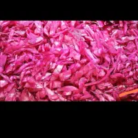 خیارشور ترشی کلم|خوردنی و آشامیدنی|تهران, سلسبیل شمالی|دیوار